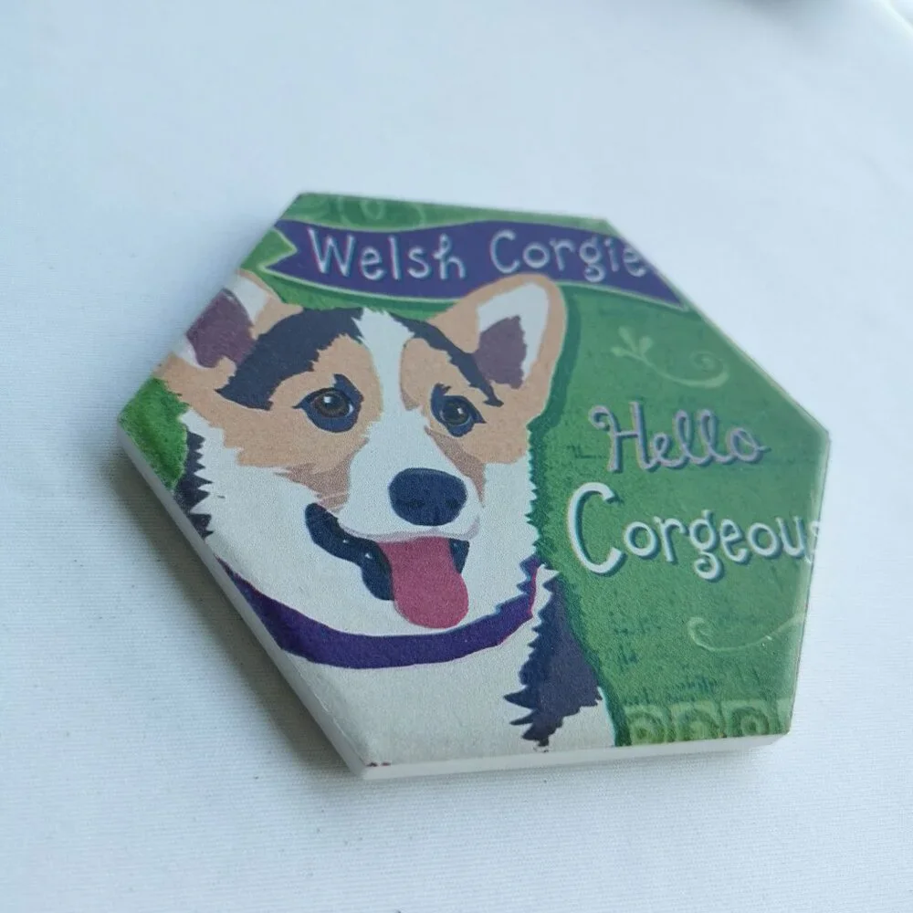 Adorable Welsh Corgie Green Coaster